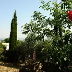 Musician's Round House & Castello Villa