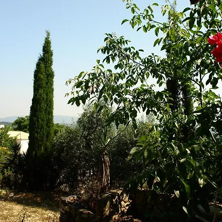 Musician's Round House & Castello Villa